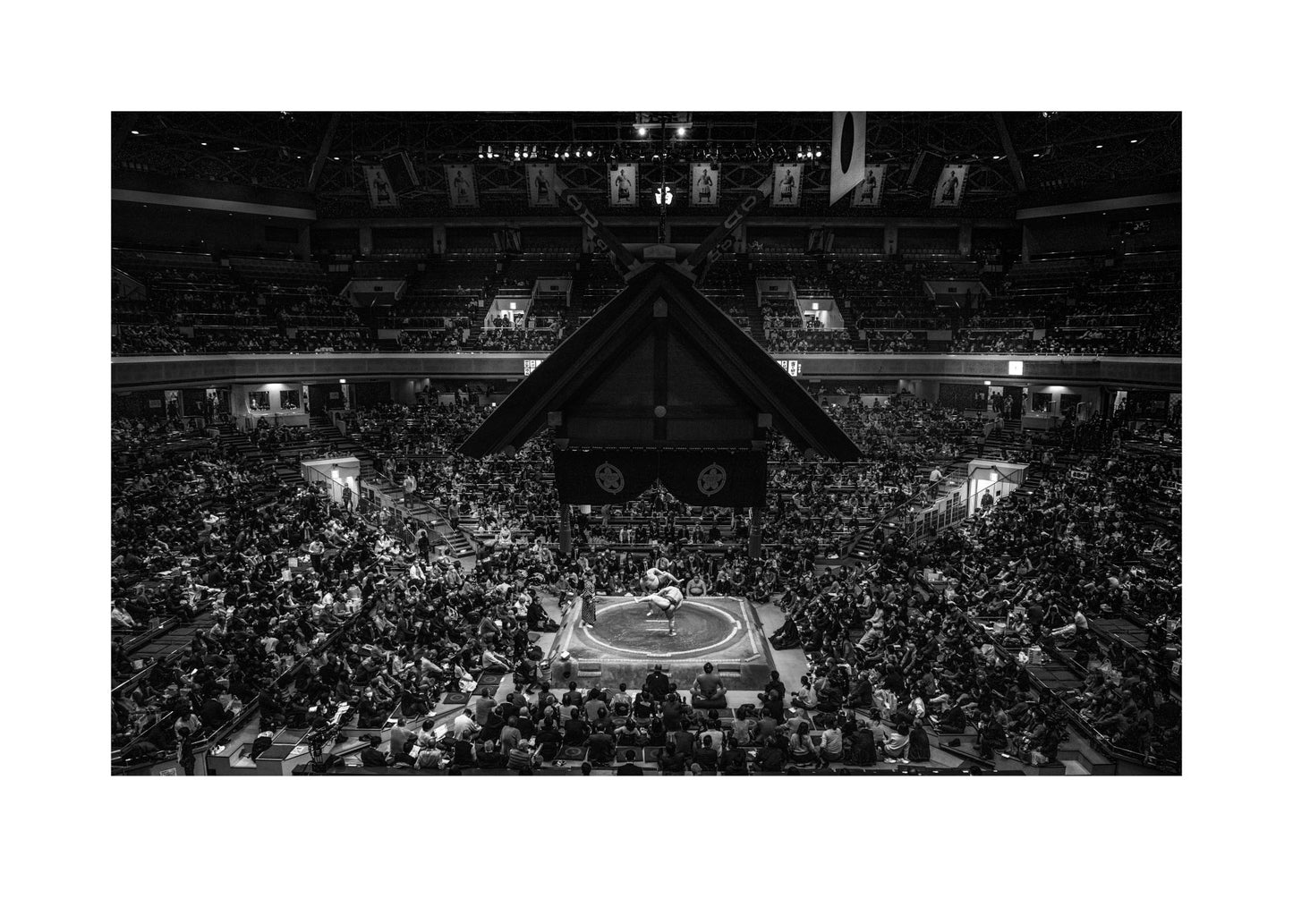 Sumo pano